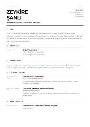 Hasta ve Yaşlı Bakım Elemanı Cv Örnekleri cv indir